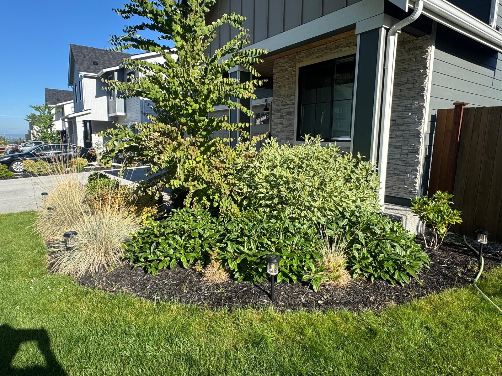 Front yard landscaping