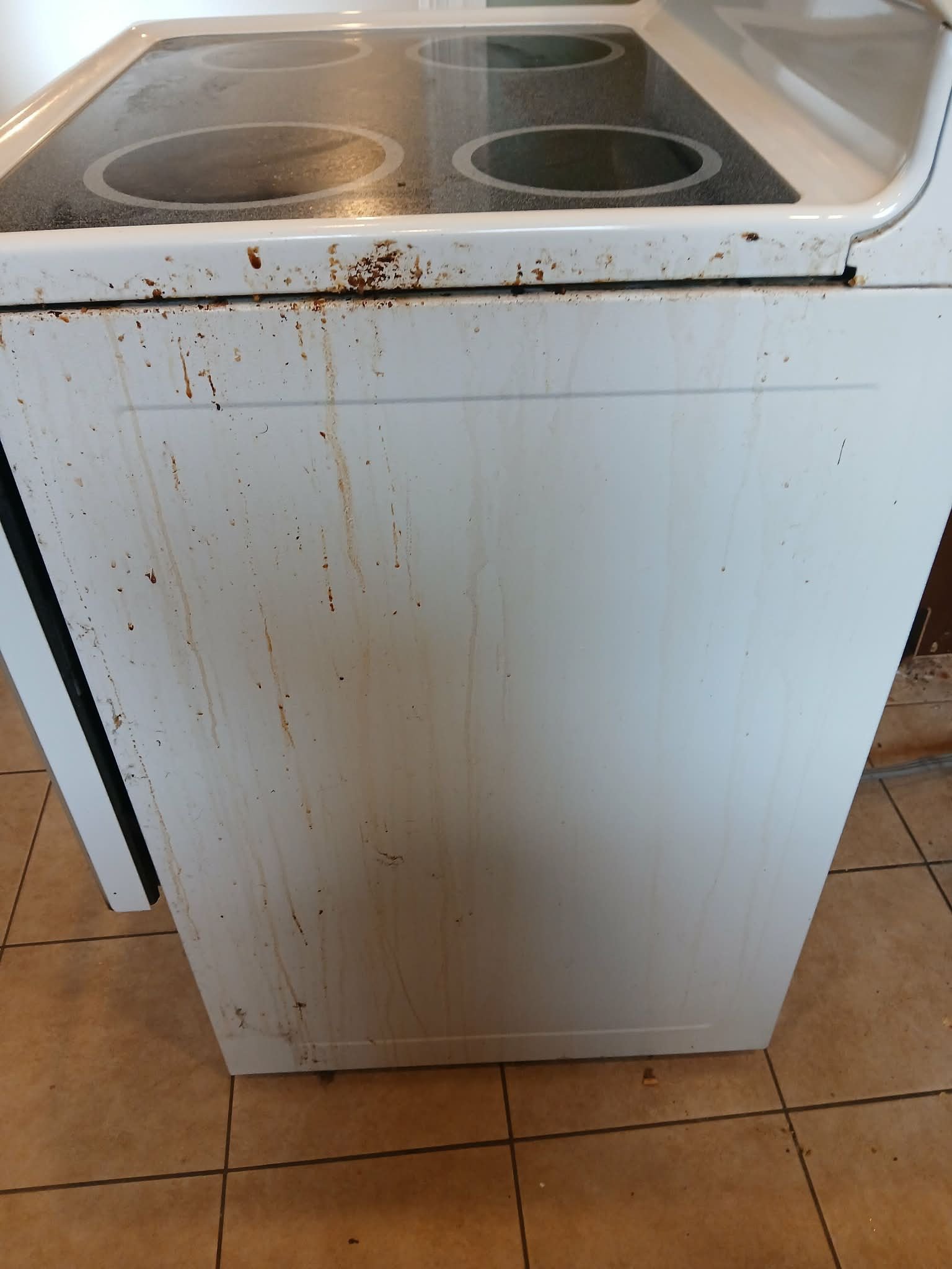 Appliance cleaning before